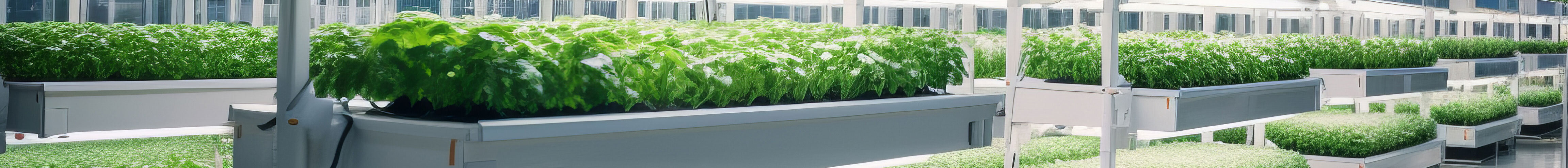 microgreens Übersicht