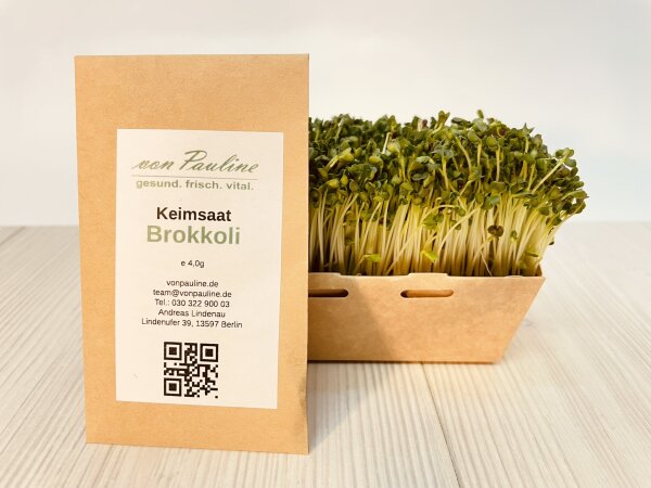 Brokkoli Samen