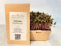Kohlrabi Samen