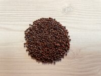 5 Stück Microgreens Brokkoli Anzuchtset