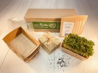 5 Stück Microgreens Brokkoli Anzuchtset