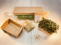 5 Stück Microgreens Senf Anzuchtset