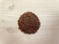 5 Stück Microgreens Kohlrabi Anzuchtset