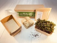 5 Stück Microgreens Kohlrabi Anzuchtset