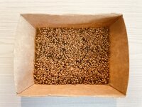 5 Stück Microgreens Rosenklee Anzuchtset