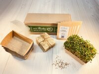 5 Stück Microgreens Rosenklee Anzuchtset