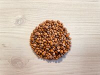 Microgreen Starter Anzuchtset 4+1