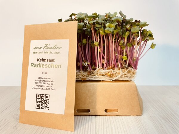 Radieschen Samen