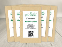 Radieschen Samen